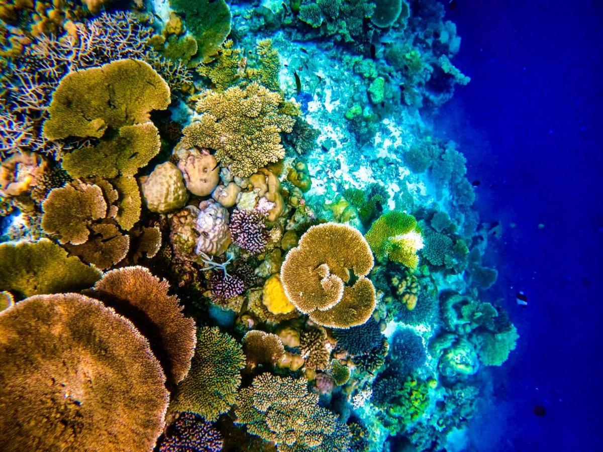 Reef Privatunterkunft Malé